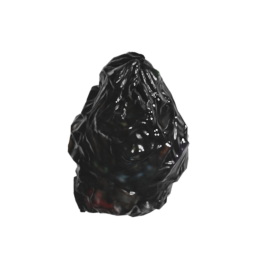 Trashbag
